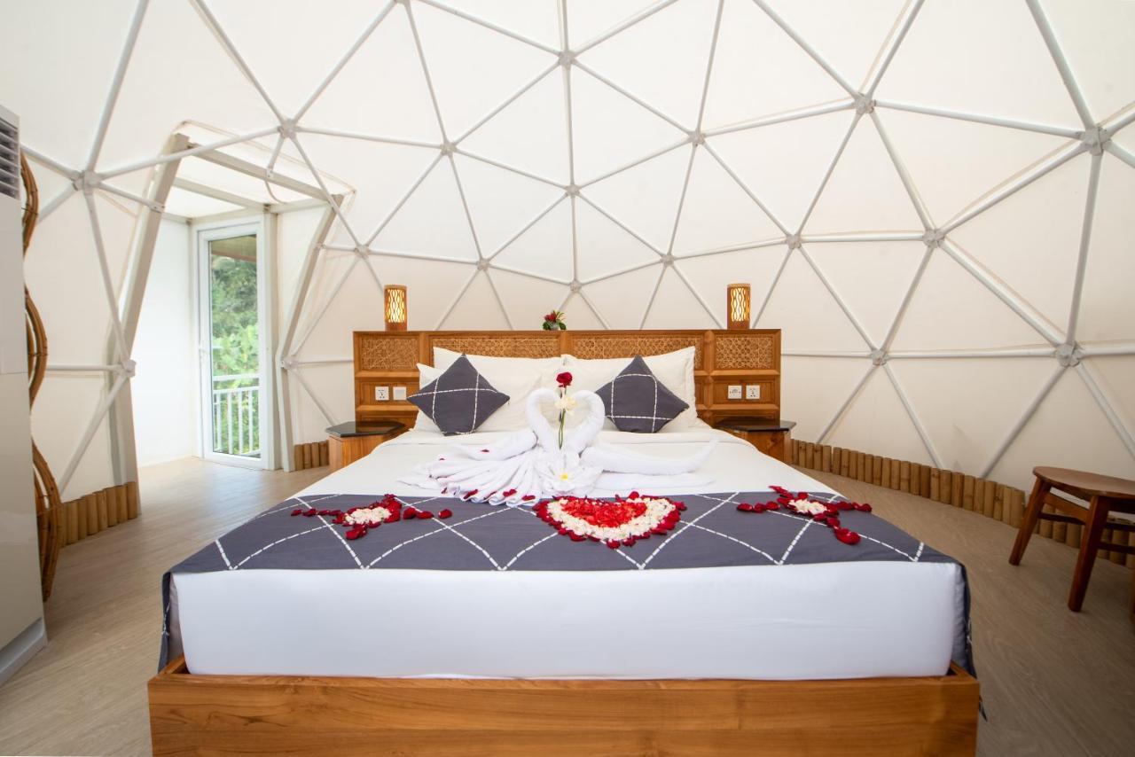 Triyana Resort And Glamping 帕洋安 外观 照片