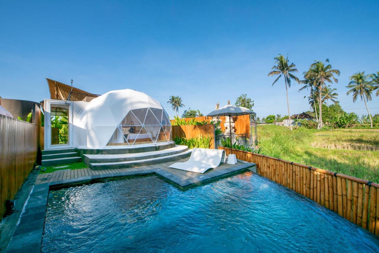 Triyana Resort And Glamping 帕洋安 外观 照片